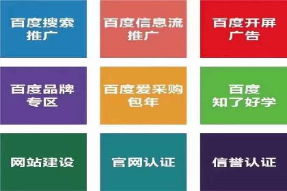 真实案例解析：SEM代运营托管公司的优势与挑战